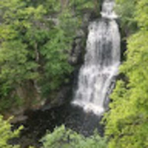 Meet your Posher, Scott